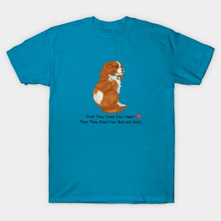 My Blenheim Cavalier King Charles Spaniel Stole My Heart, Then My Bed and Sofa. T-Shirt